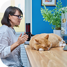 Online  Vet Consultation image